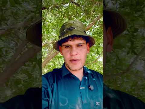 فكرة مشروع بصيط اليوم الأول اكسبلور اعتني  اهميه متابعه النظافه شلتنا فروعنا الوكره