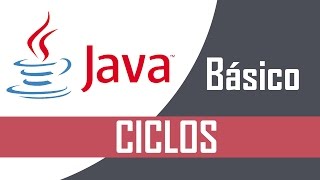 Celebrity Programación BÁSICA JAVA #3 | CICLOS Net Worth