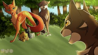 Satisfied- Leafpool MAP Screenshot Redraw