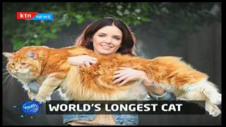 Ugandan musician Jose Chameleon gets UGSH20 Million to get saved: Youth Cafe pt 1 screenshot 4