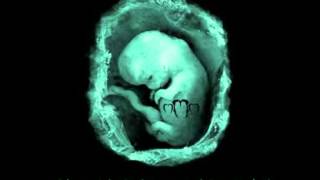 Mad Mav - Captured in Veines