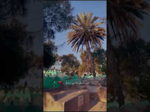 يا قبر اخبر من تضم بانني