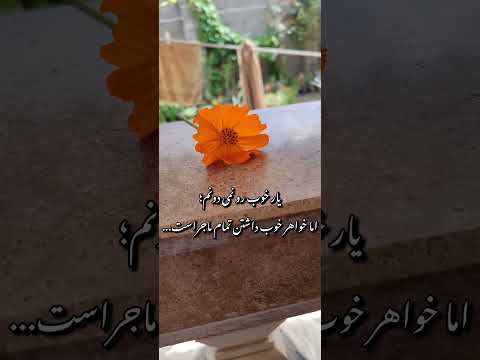 خواهر خوب داشتن تمام ماجراست 