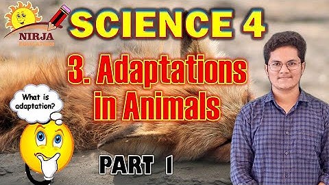 Science Std 04   Adaptations In Animals  Part 01  -  Lesson 03