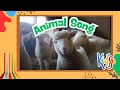 🎶 Animal Song Mix (3 Animals) – Magical Melodies Kids