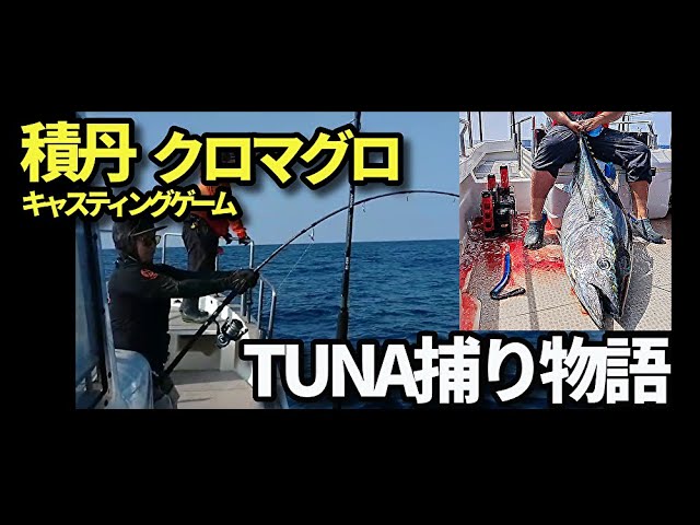 積丹クロマグロキャスティングゲーム！ロッドやルアーは？タックルが気