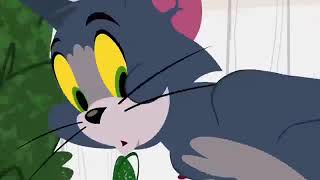 Tom And Jerry Happy Day