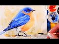 Watercolor Bird Tutorial for Beginners - How to Paint a Bluebird