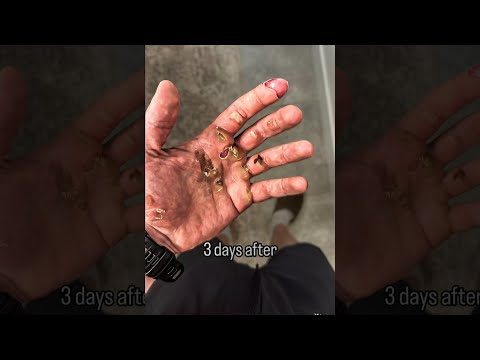 “Bro Got Soft Hands...” 🤦‍♂️