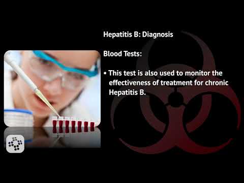 Hepatitis B Details | Bloodborne Pathogens Training