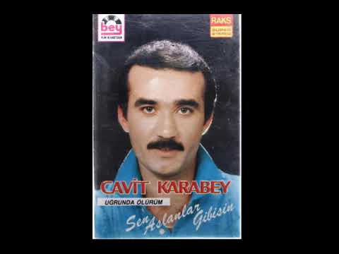 CAVİT KARABEY : GÖRÜŞ GÜNÜ [ ÇİFT CAMLARDAN SES GELMİYOR ]