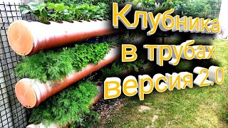 Клубника в трубах, подвесных грядках. Версия 2.0 Belklubnika.by