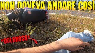 Siamo Finiti Nella Vegetazione