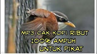 Mp3 cak kopi ribut untuk pikat 100% josss