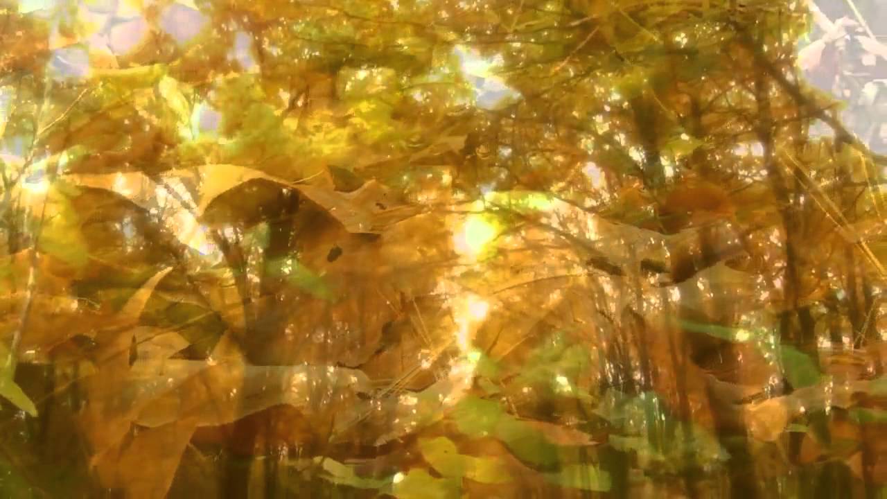 Nina Simone Ne Me Quitte Pas… (lyrics French&Russian) YouTube