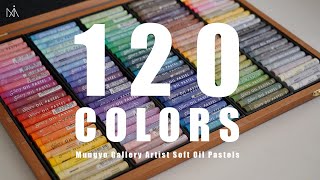 Mungyo Gallery Artist Soft Oil Pastels 120 Unboxing Review : 문교 소프트 오일 파스텔 120색 언박싱✨리뷰 [NIA] screenshot 5