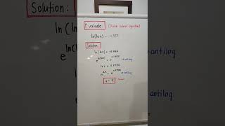 Famous Double Natural Logarithm Profile