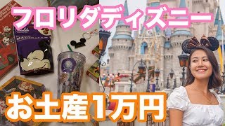 【1万円】世界最大ディズニーストアでお土産1万円分 In フロリダディズニー