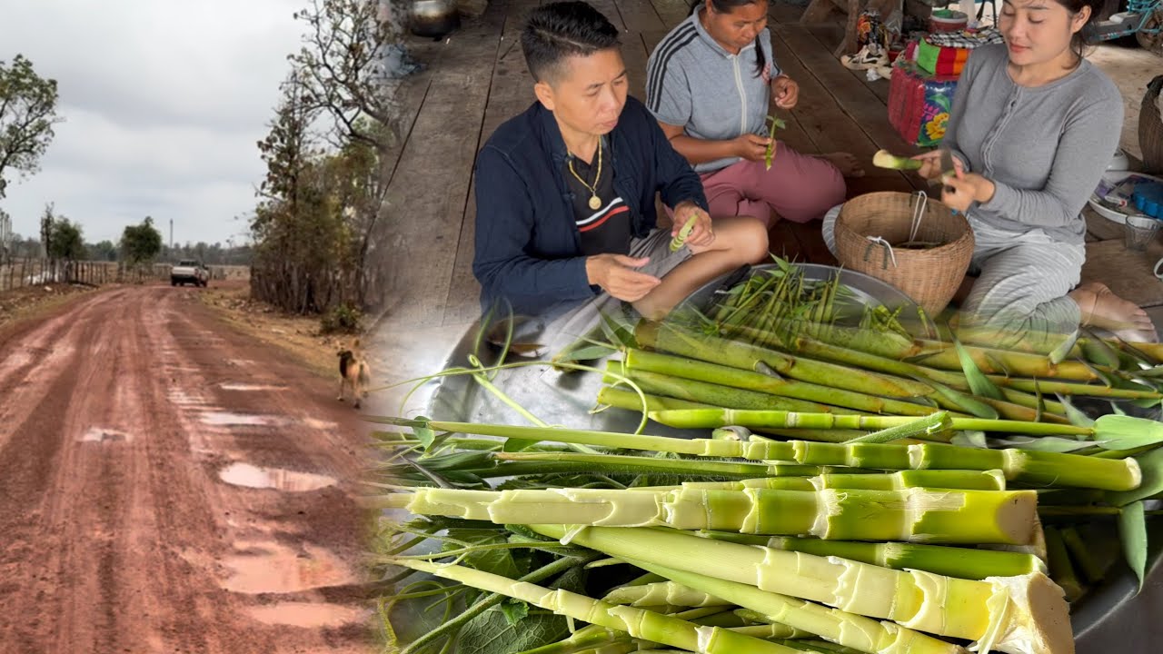 อากาศดีๆ//แกะหน่อไม้แกงเที่ยง