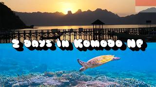 2 Days in Komodo National Park - Around the World: Indonesia