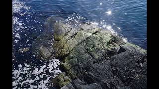 Vandringsled På Härön Från Rockevik Till Jungfruviken