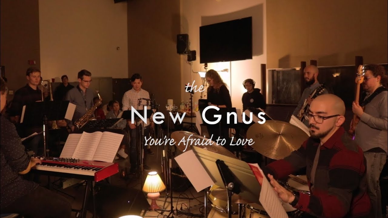 You're Afraid To Love by Gracelyn Hedrick performed by The New Gnus