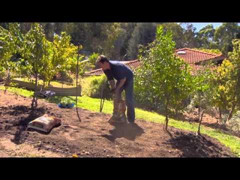 The Garden Gurus - Dynamic Lifter for Organic Veggie Growth hqdefault