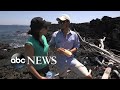 Conservation front and center as tourism booms in the Galapagos Islands I Nightline