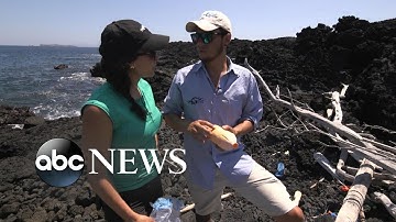 Conservation front and center as tourism booms in the Galapagos Islands I Nightline