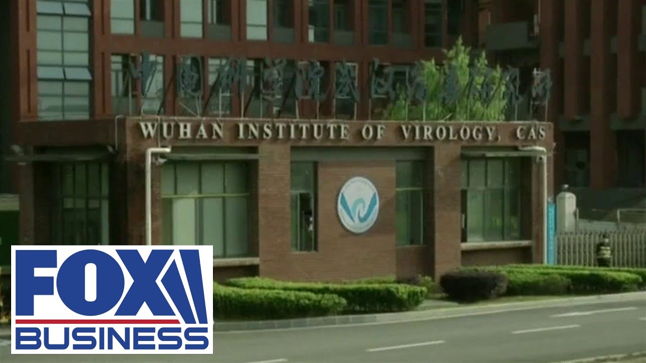 Democrats stonewalling Wuhan lab leak probe as 'distraction': report