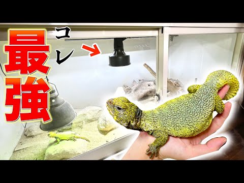 ソラリウム　メタハラ ソラリウム｜ゼンスイ株式会社