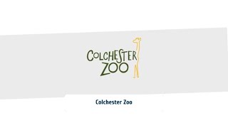 Customer Case Study video for Tevalis at Colchester Zoo