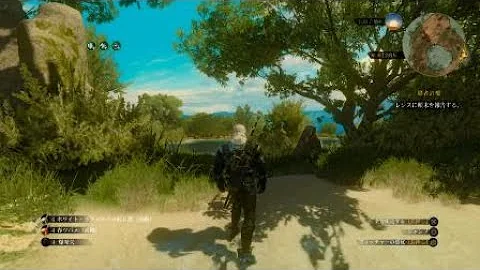 ウィッチャー3 エアロンダイト 成長