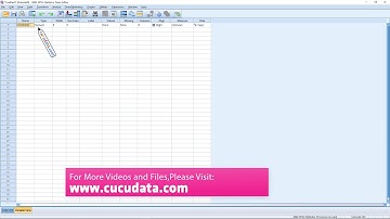 Cucudata Short Videos: SPSS Data Analysis Tutorial Lecture 7  Annual Data Input