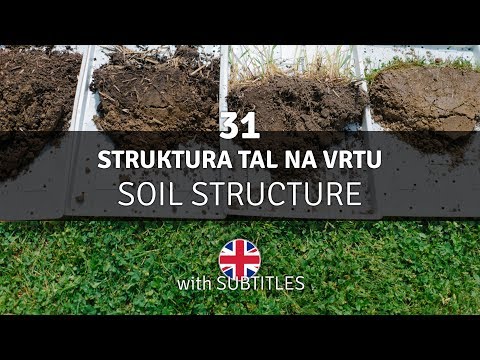 Soil structure in a no-dig garden after 5 years - Vrt Obilja EP31