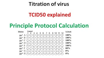 TCID50 assay principle  protocol and calculation explained