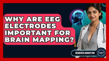 Why Are EEG Electrodes Important For Brain Mapping? - Neurotech Insight Pro