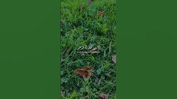 ما تيسر من سورة النبأ #foryou #قران_كريم #اكسبلور #viral #تيك_توك #سورة_النبأ