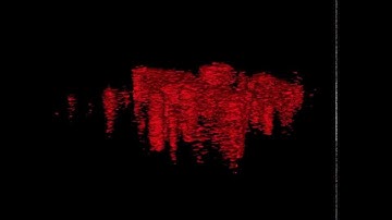 Isosurface rendered CN- data from a ToF-SIMS depth profile of bacteria on aluminium