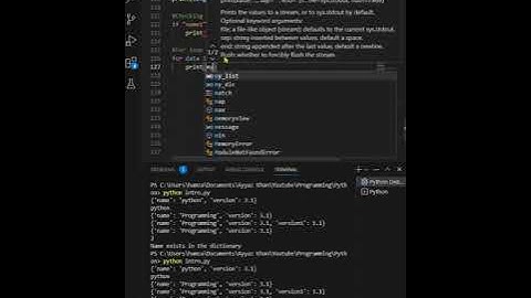 Python Mastery: A Beginner