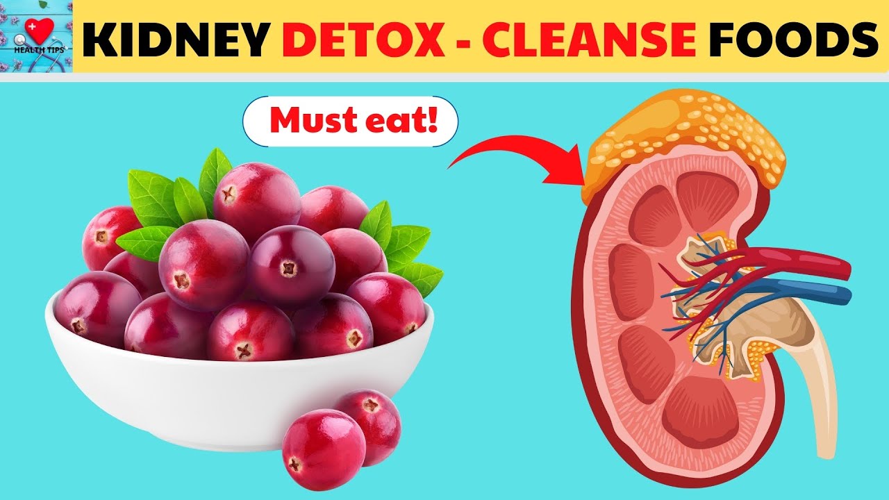 BEST 10 Foods To DETOX and CLEANSE Your Kidneys Naturally (REVERSE ...