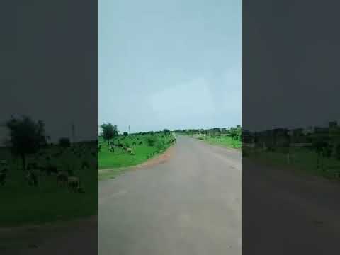 يا سمسم القضارف