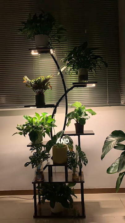 home made plant fertilizer