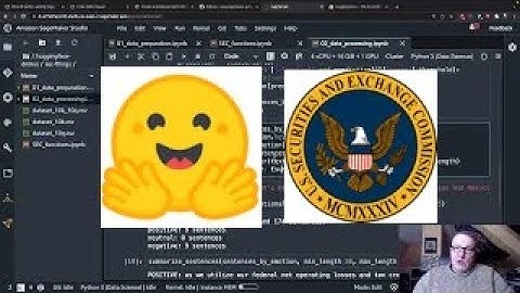 Analyze SEC filings with Transformers for fun and profit
