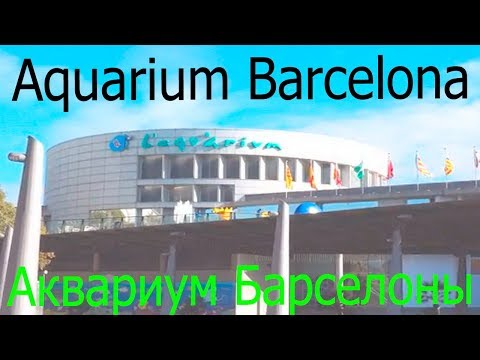 Aquarium Barcelona / Аквариум Барселоны