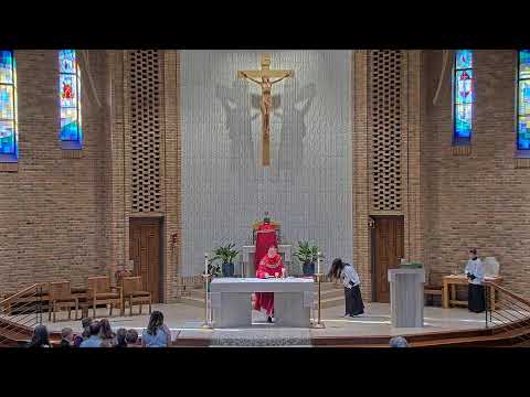 Daily Mass Wednesday - 8:15 AM - 06/11/2025