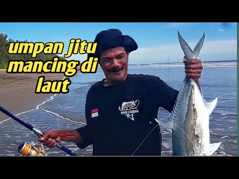 jangan pake umpan belut untuk mancing di laut