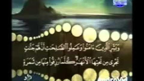 سورة البقرة من آية 21  إلى آية 29