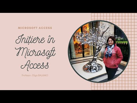 Inițiere în Microsoft Access