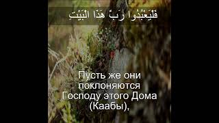 Сура Курайшиты 106 |Чтение Корана с русским переводом| Quran Translation Full Surah Quraish قريش